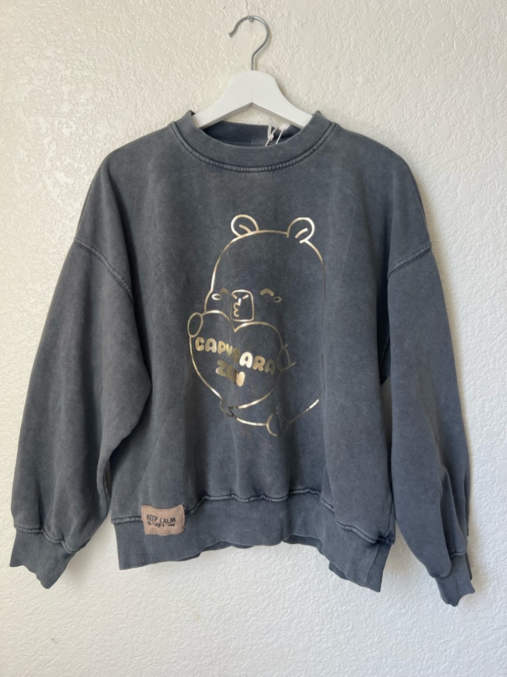 NWT ZARA Kids CapyFun Capybara Glitter Sweatshirt Gray Wash
